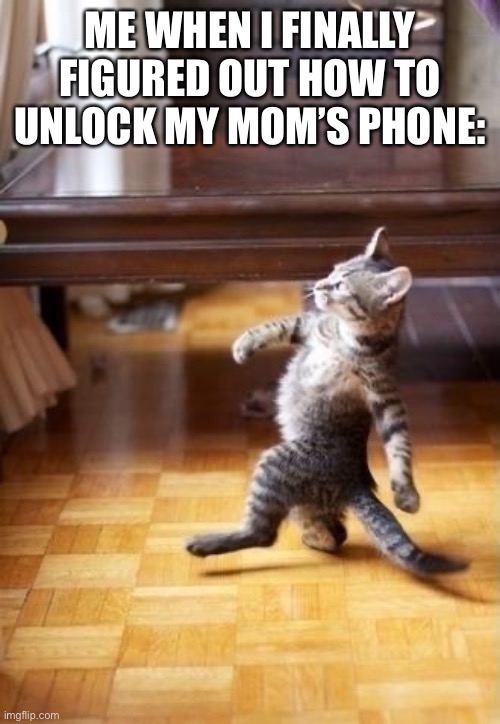 Unlock the Phone | ME WHEN I FINALLY FIGURED OUT HOW TO UNLOCK MY MOM’S PHONE: | image tagged in memes,cool cat stroll | made w/ Imgflip meme maker