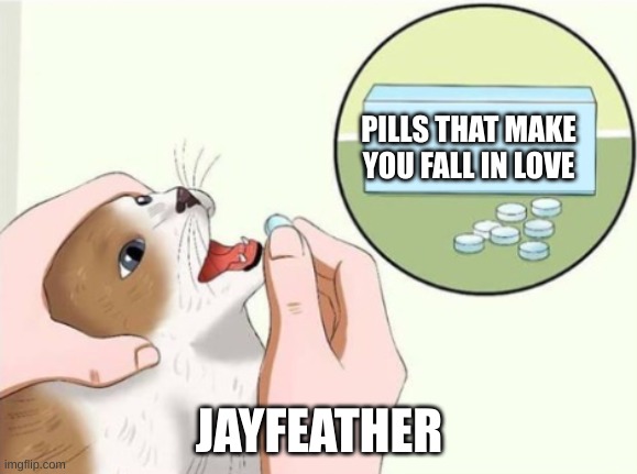 Jayfeather be like | PILLS THAT MAKE YOU FALL IN LOVE; JAYFEATHER | image tagged in cat pills blank,warrior cats | made w/ Imgflip meme maker
