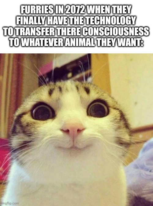 Let's hope they have nature survival skills |  FURRIES IN 2072 WHEN THEY FINALLY HAVE THE TECHNOLOGY TO TRANSFER THERE CONSCIOUSNESS TO WHATEVER ANIMAL THEY WANT: | image tagged in memes,smiling cat,furries,furry | made w/ Imgflip meme maker