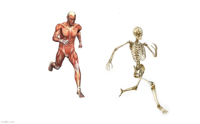 run skeleton | image tagged in run skeleton | made w/ Imgflip meme maker