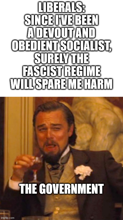 libs dont understand how it works | LIBERALS: SINCE I'VE BEEN A DEVOUT AND OBEDIENT SOCIALIST, SURELY THE FASCIST REGIME WILL SPARE ME HARM; THE GOVERNMENT | image tagged in liberal logic | made w/ Imgflip meme maker