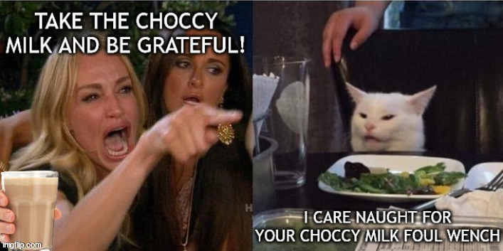 image tagged in woman yelling at cat,woman yelling at a cat,choccy milk,have some choccy milk,choccy,foul wench | made w/ Imgflip meme maker