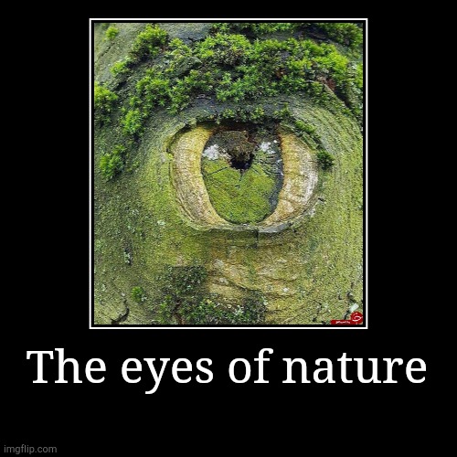 The eyes of nature | image tagged in funny,demotivationals | made w/ Imgflip demotivational maker