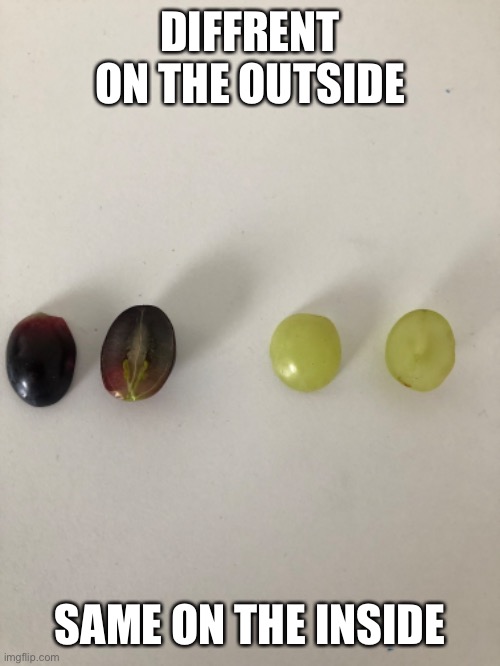Bro just ended racism | DIFFRENT ON THE OUTSIDE; SAME ON THE INSIDE | image tagged in grapes | made w/ Imgflip meme maker