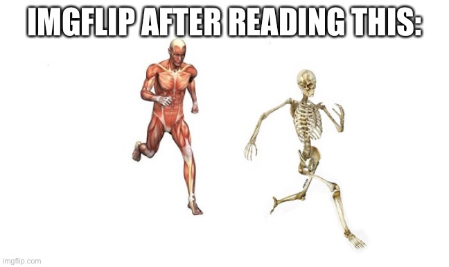 Sai maluco todo dia isso | IMGFLIP AFTER READING THIS: | image tagged in sai maluco todo dia isso | made w/ Imgflip meme maker