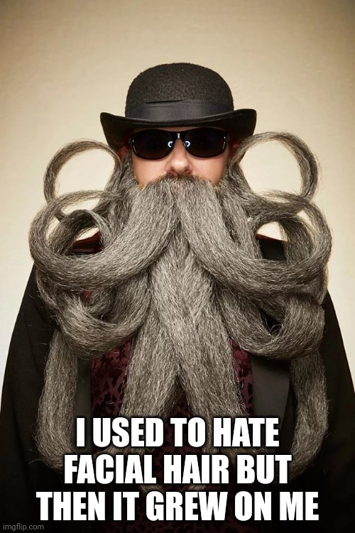 Beardie | I USED TO HATE FACIAL HAIR BUT THEN IT GREW ON ME | image tagged in beards,funny memes,fun,lol | made w/ Imgflip meme maker