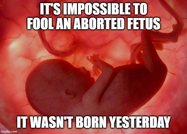 Mic Drop | IT'S IMPOSSIBLE TO FOOL AN ABORTED FETUS; IT WASN'T BORN YESTERDAY | image tagged in fetus | made w/ Imgflip meme maker