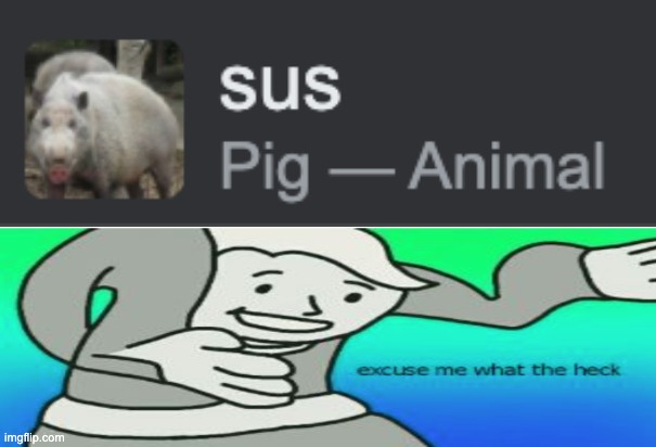 pigs are- | image tagged in sus,what,excuse me what the heck | made w/ Imgflip meme maker