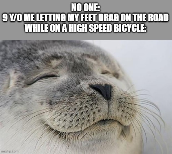 satisfying | NO ONE:
9 Y/0 ME LETTING MY FEET DRAG ON THE ROAD WHILE ON A HIGH SPEED BICYCLE: | image tagged in memes,satisfied seal | made w/ Imgflip meme maker