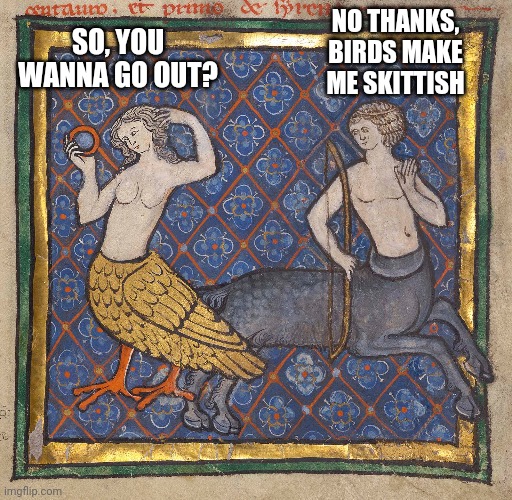 SO, YOU WANNA GO OUT? NO THANKS, BIRDS MAKE ME SKITTISH | made w/ Imgflip meme maker