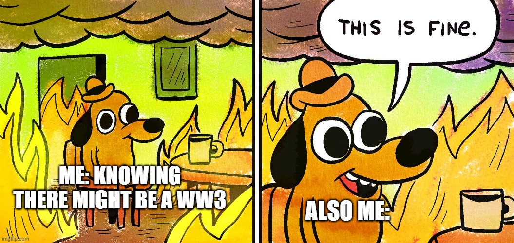 its fine | ME: KNOWING THERE MIGHT BE A WW3; ALSO ME: | image tagged in its fine | made w/ Imgflip meme maker