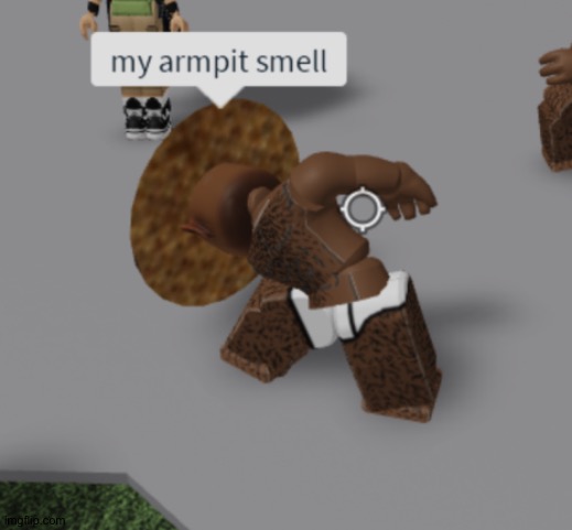 My armpits smell | image tagged in my armpits smell | made w/ Imgflip meme maker