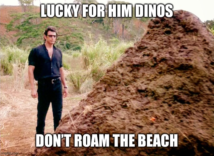 Memes, Poop, Jurassic Park | LUCKY FOR HIM DINOS DON’T ROAM THE BEACH | image tagged in memes poop jurassic park | made w/ Imgflip meme maker