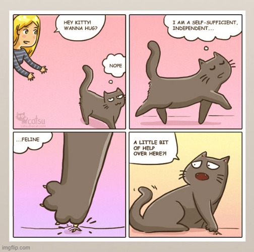 oh no~ | image tagged in memes,funny,comics,not memes | made w/ Imgflip meme maker