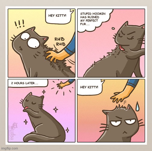 purrrrrfect | image tagged in memes,not memes,comics,funny | made w/ Imgflip meme maker