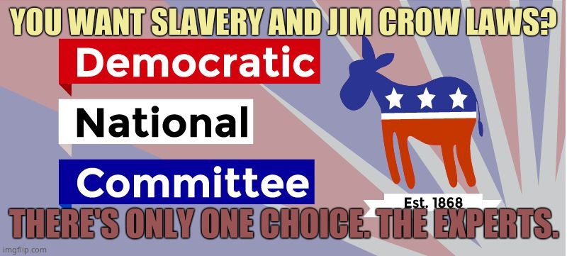 The traditional slavery party. They still run an effective plantation and hunt down those not obeying their rules. | YOU WANT SLAVERY AND JIM CROW LAWS? THERE'S ONLY ONE CHOICE. THE EXPERTS. | image tagged in dnc,jim crow,slavery | made w/ Imgflip meme maker