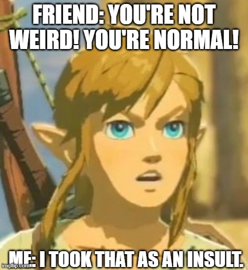 I am VERY Weird | FRIEND: YOU'RE NOT WEIRD! YOU'RE NORMAL! ME: I TOOK THAT AS AN INSULT. | image tagged in offended link,me irl be like | made w/ Imgflip meme maker