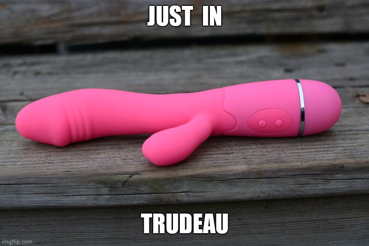 Just in. | JUST  IN TRUDEAU | image tagged in memes,dark humor,justin trudeau,dildo,funny memes | made w/ Imgflip meme maker