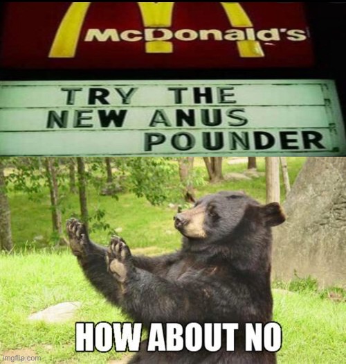Try the new anus pounder | image tagged in memes,how about no bear | made w/ Imgflip meme maker