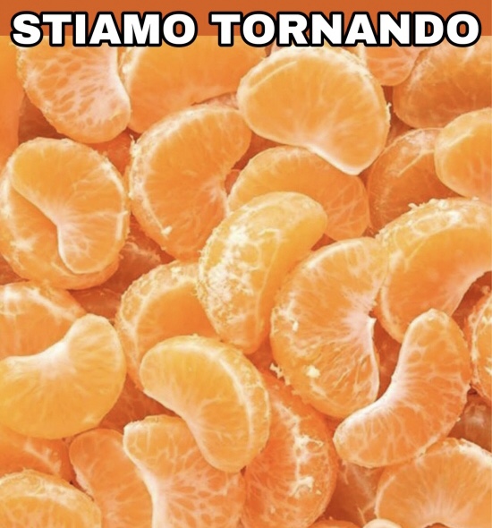 STIAMO TORNANDO Blank Meme Template