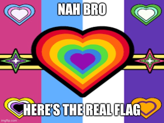 NAH BRO HERE’S THE REAL FLAG | made w/ Imgflip meme maker