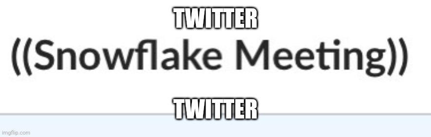Twitter | TWITTER; TWITTER | image tagged in snowflake meeting | made w/ Imgflip meme maker