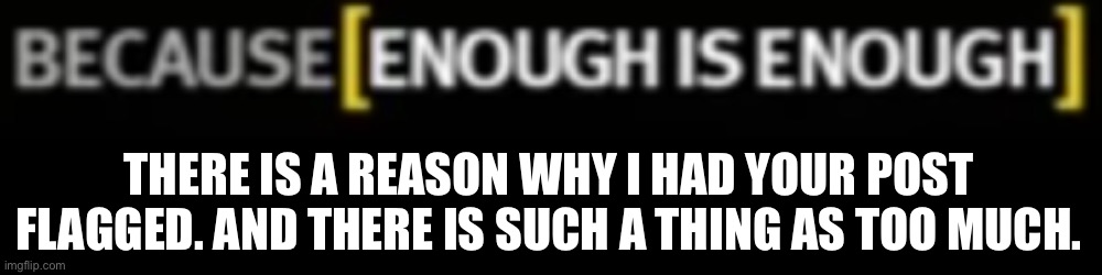 because enough is enough | THERE IS A REASON WHY I HAD YOUR POST FLAGGED. AND THERE IS SUCH A THING AS TOO MUCH. | image tagged in because enough is enough | made w/ Imgflip meme maker