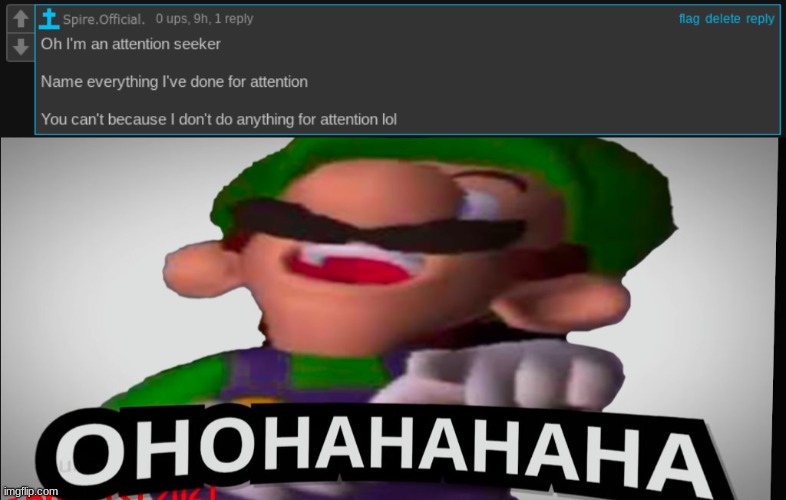 image tagged in luigi laughs at you | made w/ Imgflip meme maker