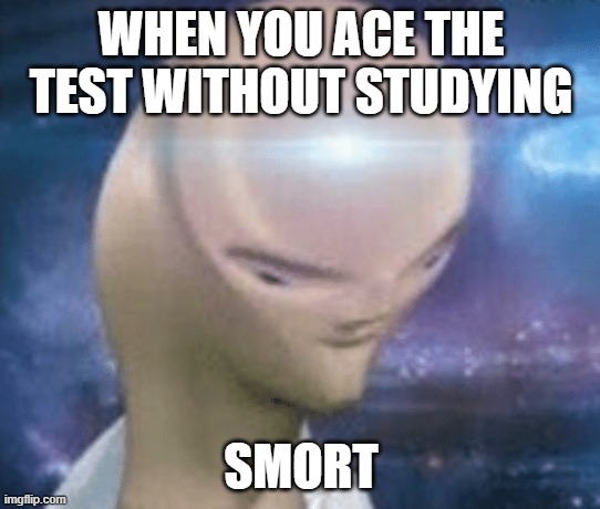 SMORT | WHEN YOU ACE THE TEST WITHOUT STUDYING; SMORT | image tagged in smort | made w/ Imgflip meme maker