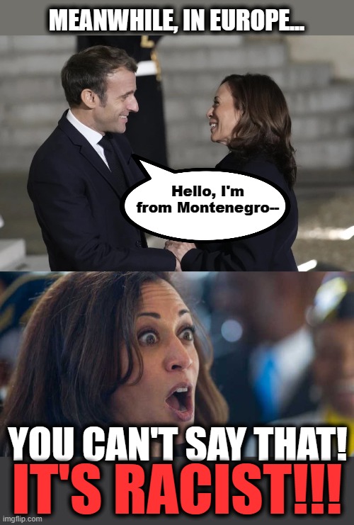 Idiot on the loose! | MEANWHILE, IN EUROPE... Hello, I'm from Montenegro--; IT'S RACIST!!! YOU CAN'T SAY THAT! | image tagged in kamala harriss,memes,montenegro,racist,democrats | made w/ Imgflip meme maker