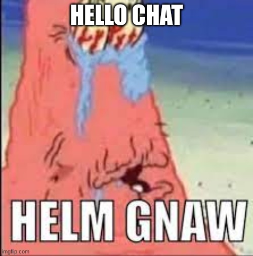 HELM GNAW | HELLO CHAT | image tagged in helm gnaw | made w/ Imgflip meme maker