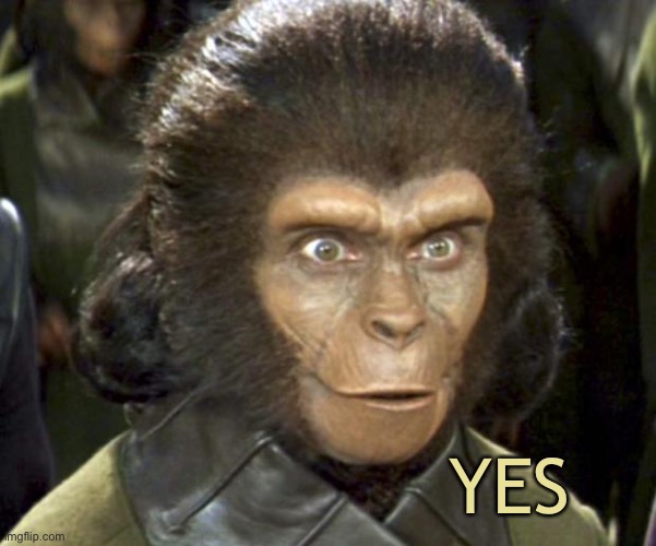 Planet of the Apes Zira | YES | image tagged in planet of the apes zira | made w/ Imgflip meme maker