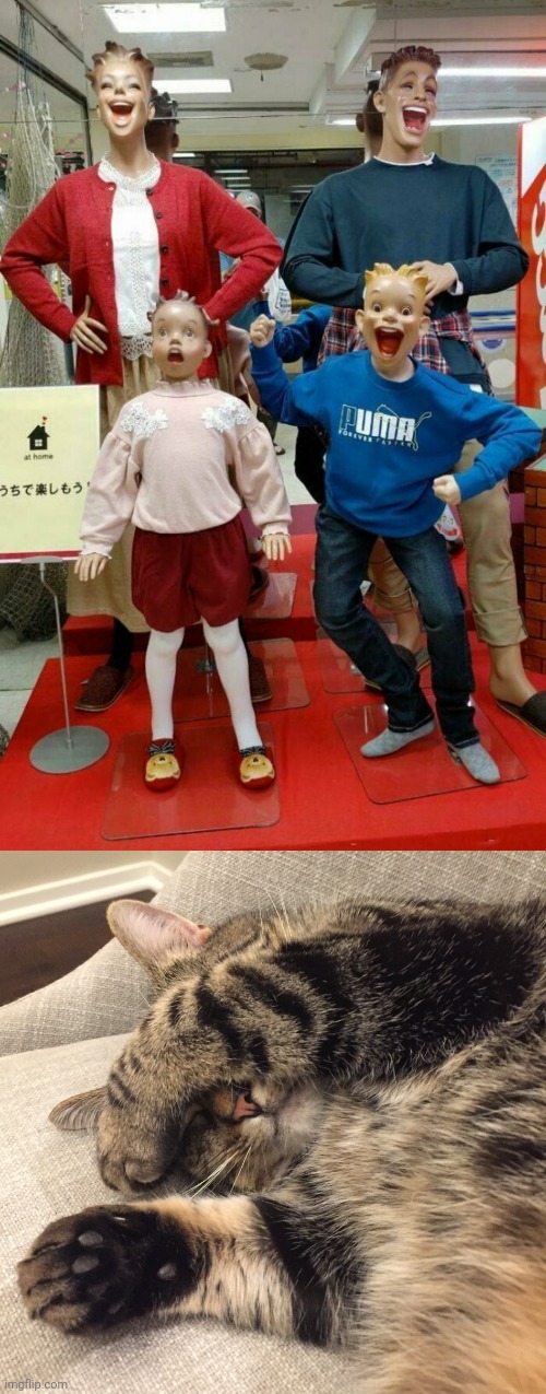 A trip to the Mall | image tagged in eyes covered cat,can't unsee,creepy,mannequin,macklemore thrift store | made w/ Imgflip meme maker