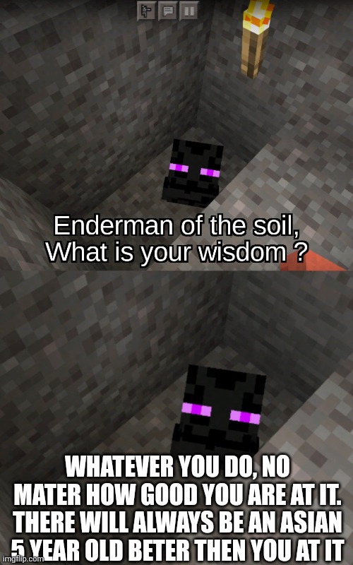 Got dammit |  WHATEVER YOU DO, NO MATER HOW GOOD YOU ARE AT IT. THERE WILL ALWAYS BE AN ASIAN 5 YEAR OLD BETER THEN YOU AT IT | image tagged in wisdom,funny,minecraft,enderman | made w/ Imgflip meme maker