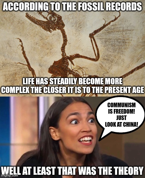 The problem with the theory of evolution is...so many life forms seem to be making u-turns | ACCORDING TO THE FOSSIL RECORDS; LIFE HAS STEADILY BECOME MORE COMPLEX THE CLOSER IT IS TO THE PRESENT AGE; COMMUNISM IS FREEDOM! JUST LOOK AT CHINA! WELL AT LEAST THAT WAS THE THEORY | image tagged in what n' fossilization,crazy aoc,evolution,expectation vs reality | made w/ Imgflip meme maker