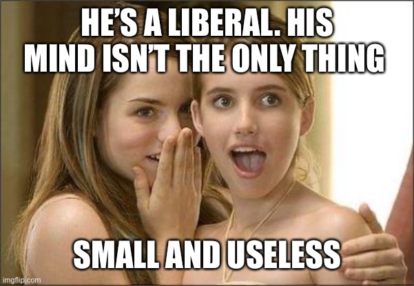 Girls gossiping | HE’S A LIBERAL. HIS MIND ISN’T THE ONLY THING; SMALL AND USELESS | image tagged in girls gossiping | made w/ Imgflip meme maker