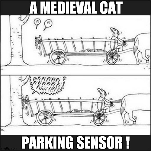 What's Going On Here ? | A MEDIEVAL CAT; PARKING SENSOR ! | image tagged in cats,medieval,parking,cartoon | made w/ Imgflip meme maker