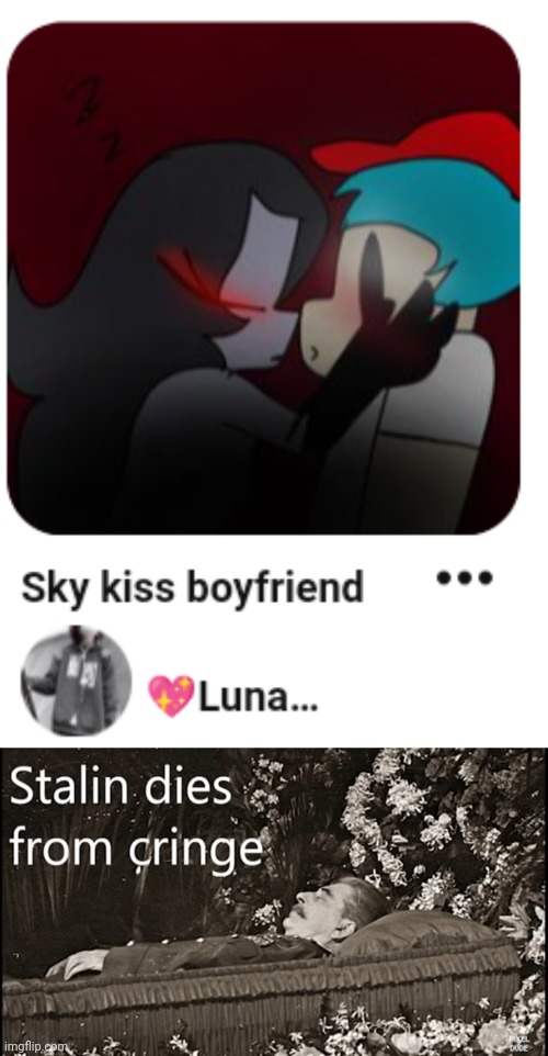 im dead | image tagged in stalin dies from cringe | made w/ Imgflip meme maker