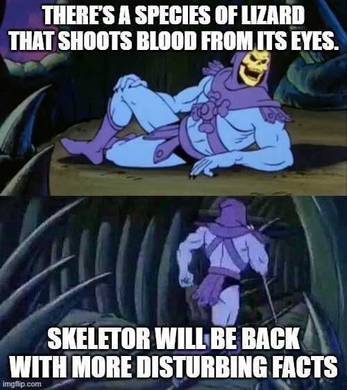 Skeletor disturbing facts | THERE’S A SPECIES OF LIZARD THAT SHOOTS BLOOD FROM ITS EYES. SKELETOR WILL BE BACK WITH MORE DISTURBING FACTS | image tagged in skeletor disturbing facts | made w/ Imgflip meme maker