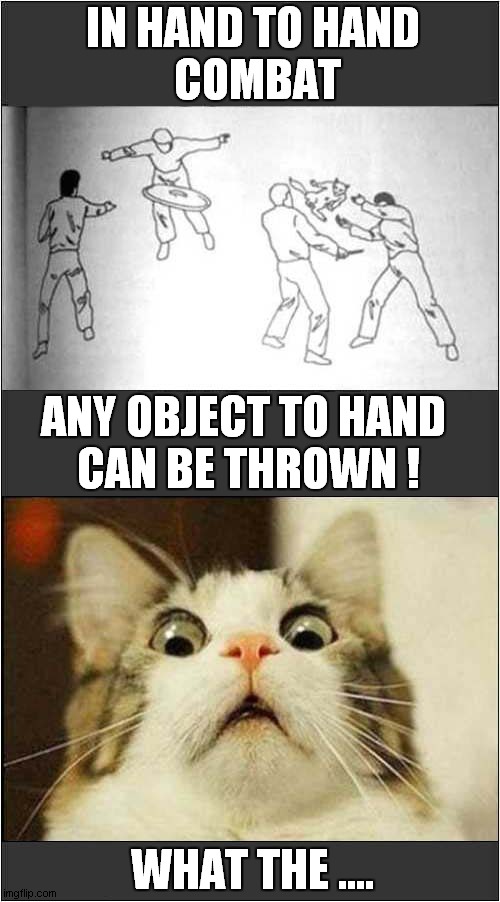 Do Not Try This At Home ! | IN HAND TO HAND
 COMBAT; ANY OBJECT TO HAND 
CAN BE THROWN ! WHAT THE .... | image tagged in cats,combat,throw,scared cat | made w/ Imgflip meme maker