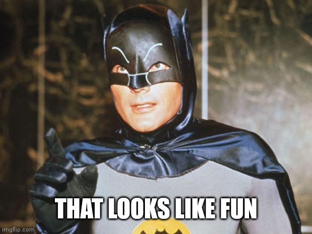 Batman-Adam West | THAT LOOKS LIKE FUN | image tagged in batman-adam west | made w/ Imgflip meme maker