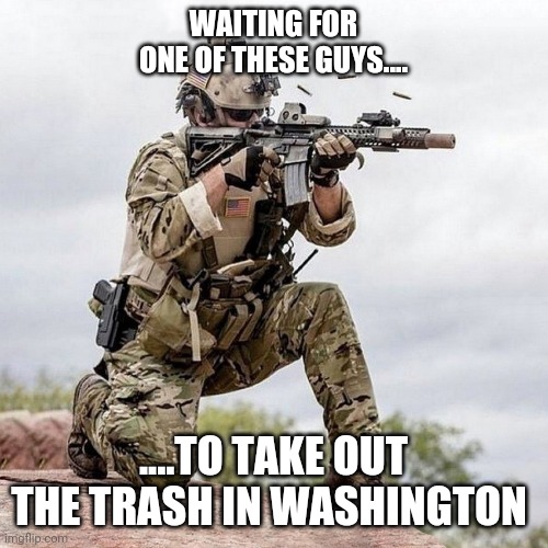 Special Forces US Navy Seal Shooter Operator | WAITING FOR ONE OF THESE GUYS.... ....TO TAKE OUT THE TRASH IN WASHINGTON | image tagged in special forces us navy seal shooter operator | made w/ Imgflip meme maker