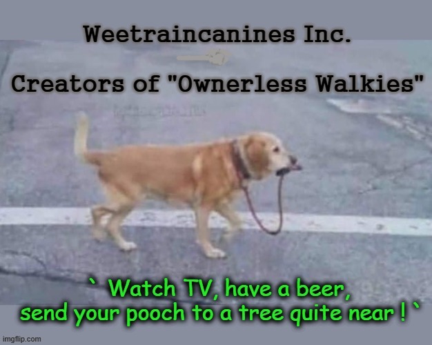 Walkies Free ! | image tagged in intelligent dog | made w/ Imgflip meme maker