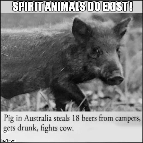 If Only There Was A Film Clip ! | SPIRIT ANIMALS DO EXIST ! | image tagged in spirit animal,boar,drunk,fighting,newspaper | made w/ Imgflip meme maker