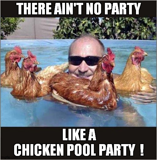 To Make You Smile ! |  THERE AIN'T NO PARTY; LIKE A
CHICKEN POOL PARTY  ! | image tagged in fun,chickens,pool,party | made w/ Imgflip meme maker