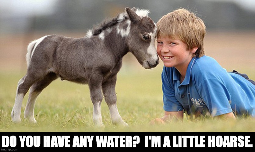 Horse pun | DO YOU HAVE ANY WATER?  I'M A LITTLE HOARSE. | image tagged in bad pun | made w/ Imgflip meme maker