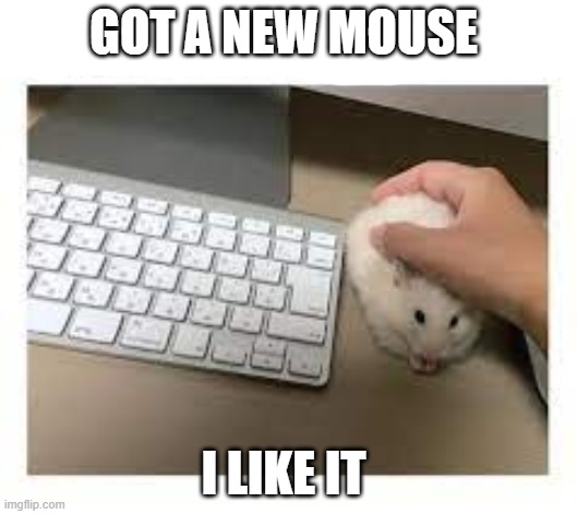 Mouse | GOT A NEW MOUSE; I LIKE IT | image tagged in funny,meme,cool,memes,lol,e | made w/ Imgflip meme maker