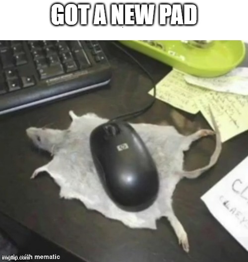 When you get a new mouse pad | GOT A NEW PAD | image tagged in memes,funny,meme,mouse,gaming,cool | made w/ Imgflip meme maker