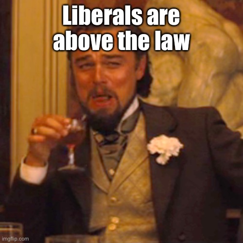 Laughing Leo Meme | Liberals are above the law | image tagged in memes,laughing leo | made w/ Imgflip meme maker