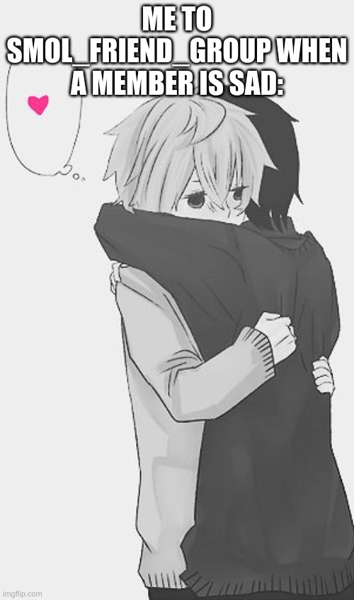 hug <3 | ME TO SMOL_FRIEND_GROUP WHEN A MEMBER IS SAD: | image tagged in hug | made w/ Imgflip meme maker